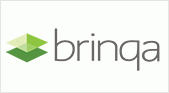 Other_Brinqa_Sponsor_Logo